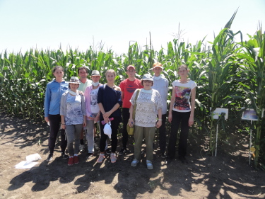 Agrocentrum and PFNS jointly inoculated parts of the maize fields with locally sources non-toxigenic Aspergillus flavus strains